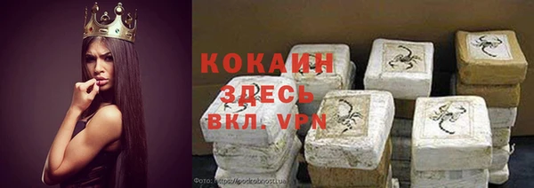 МДПВ Мегион