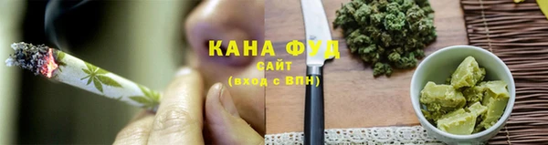 МДПВ Михайлов