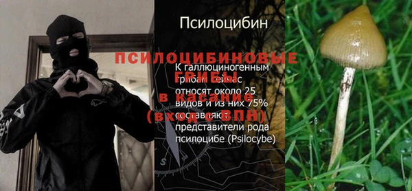МДПВ Мегион