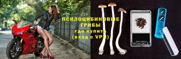 МДПВ Мегион