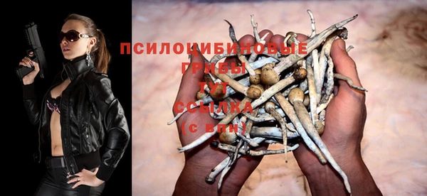 МДПВ Мегион