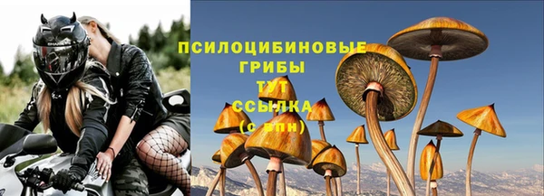 МДПВ Мегион