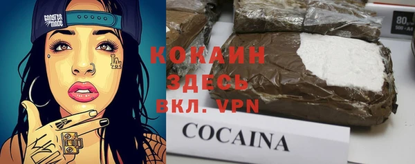 МДПВ Михайлов