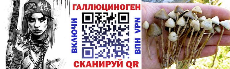 Галлюциногенные грибы Cubensis  Кремёнки 